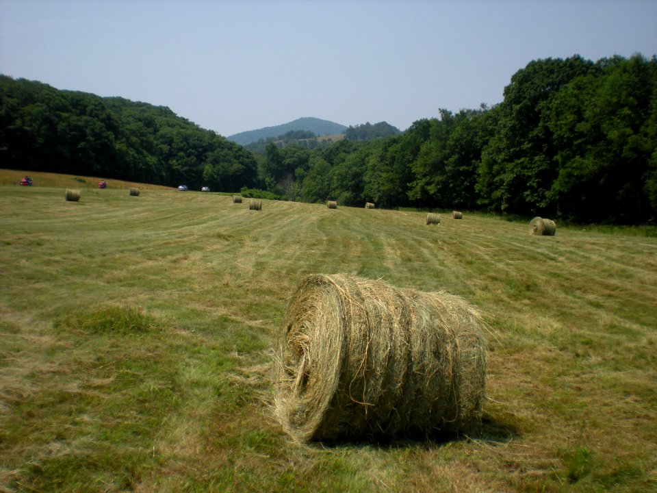 Blue Ridge Parkway Agricultural Lease MP25