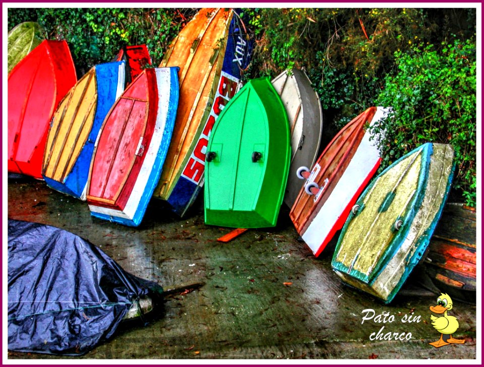 Barcas auxiliares