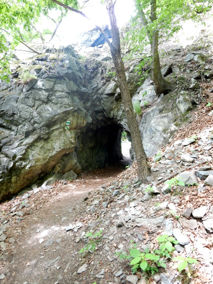 DSCN0042
