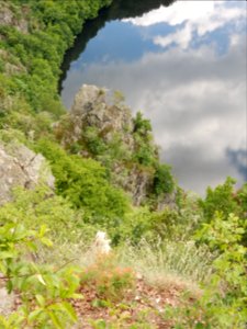 DSCN0090