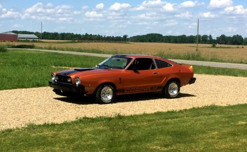 Mustang II Cobra