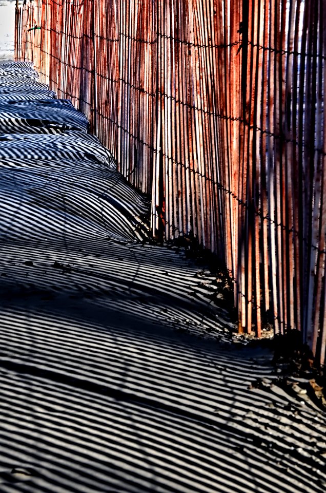 Winter Beach Fence