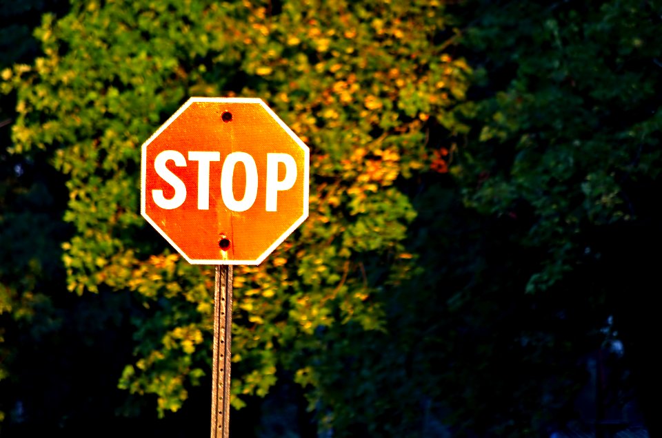 There are Signs Everywhere