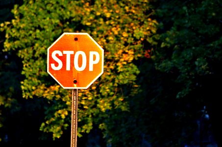 There are Signs Everywhere