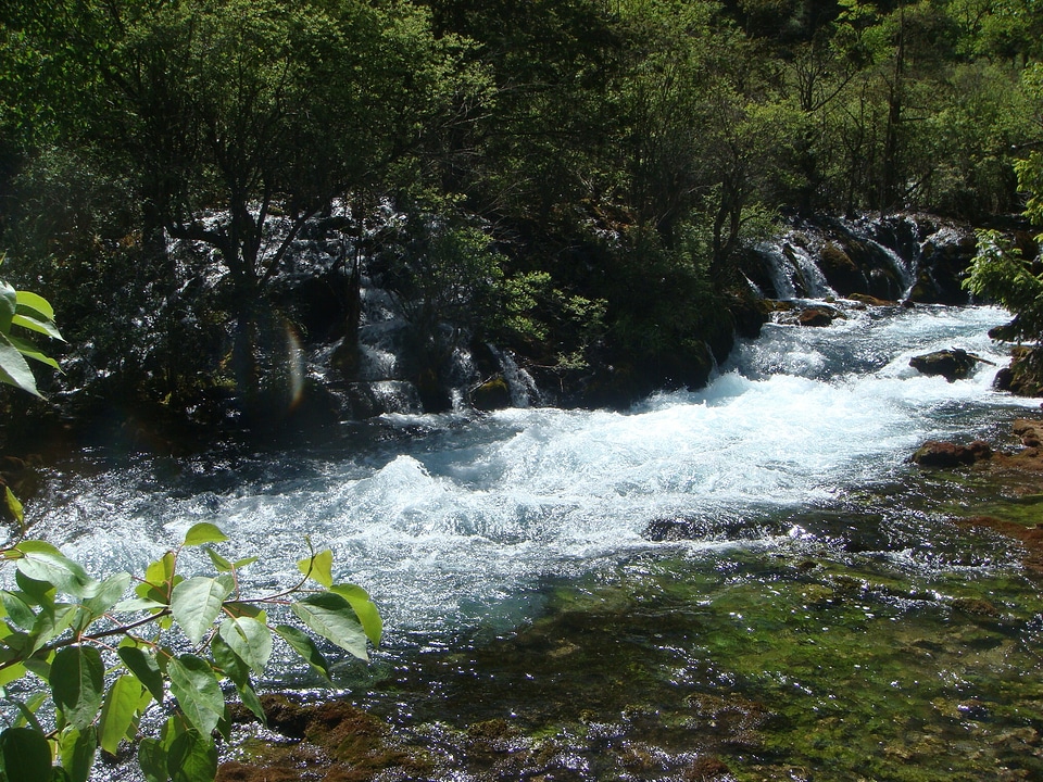 Landscape river brooks photo