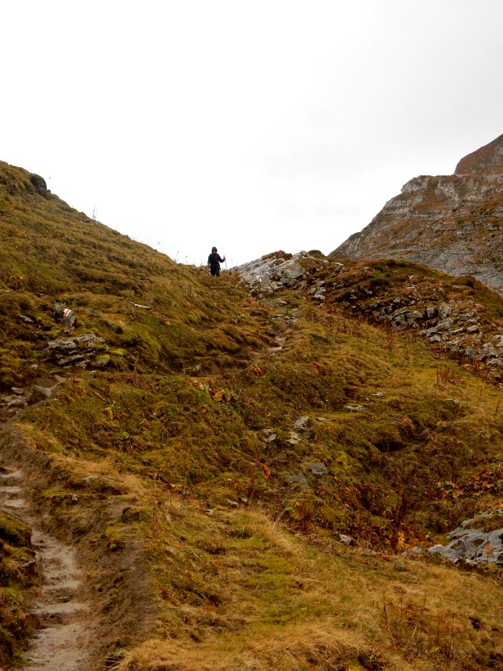 ulm svycarsko 10 2015 104