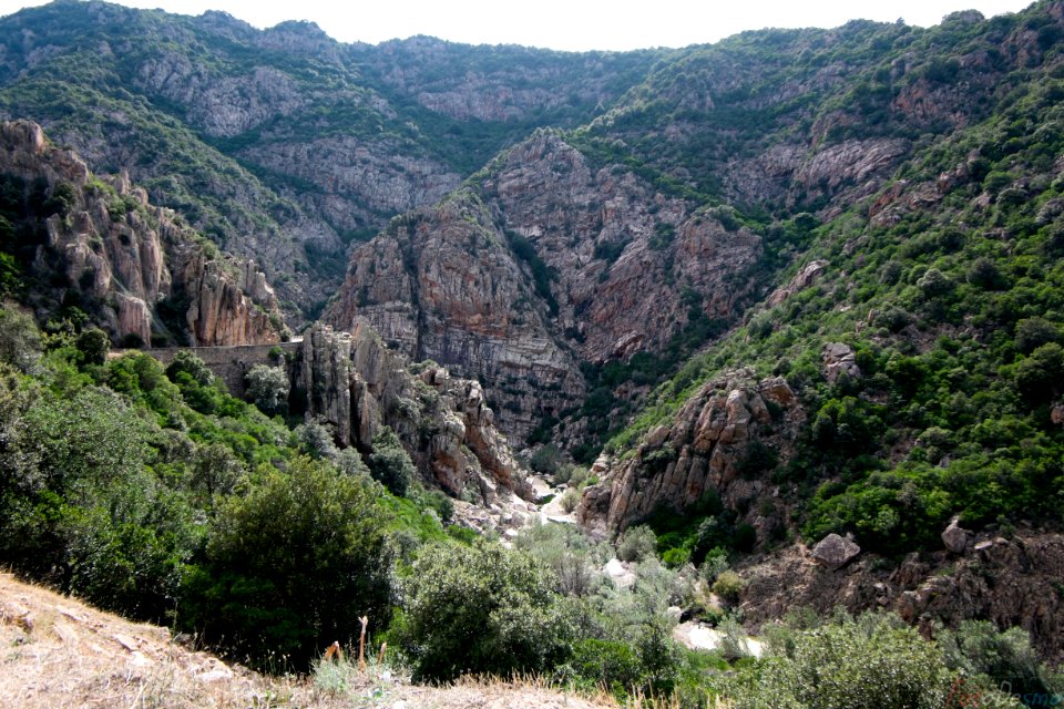 DSCF2536