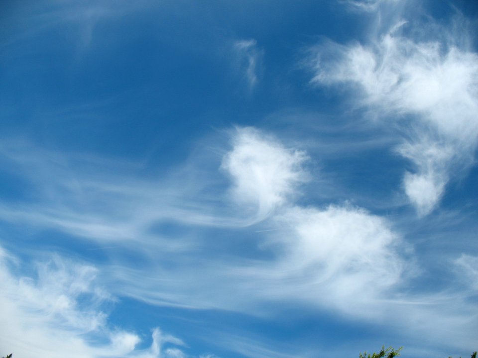 Painted Sky