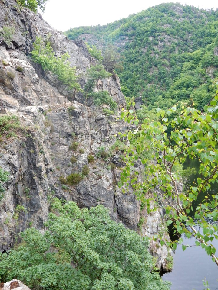 DSCN0038