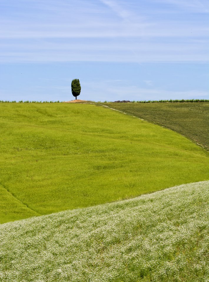 Val d'Orcia