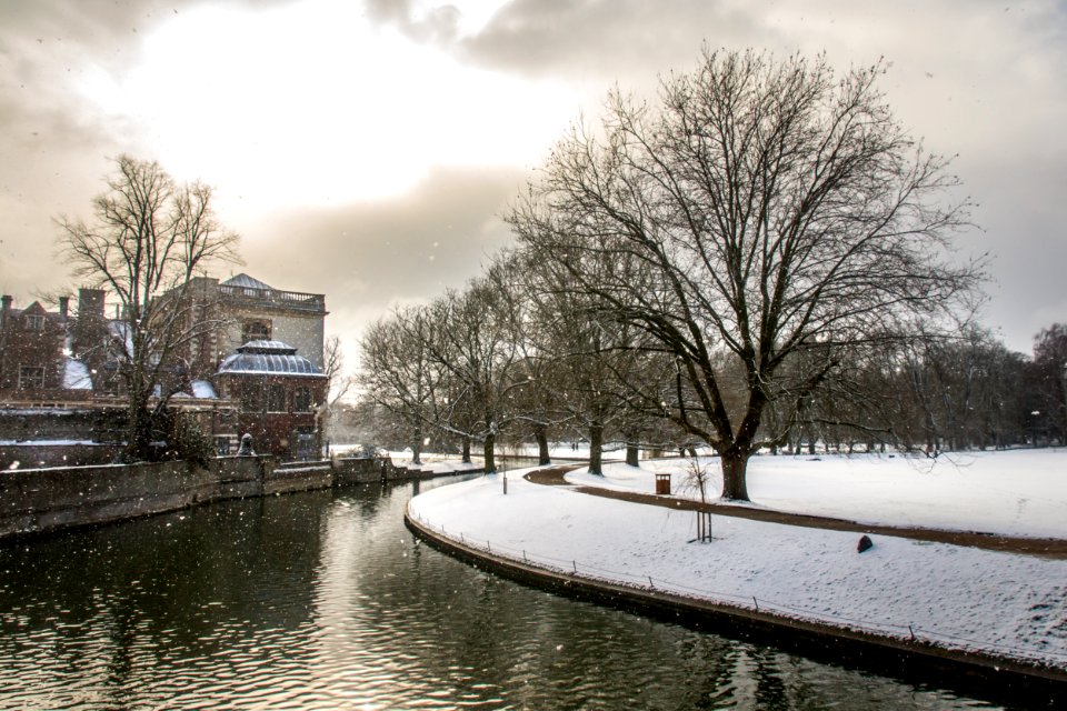 Cam in Winter