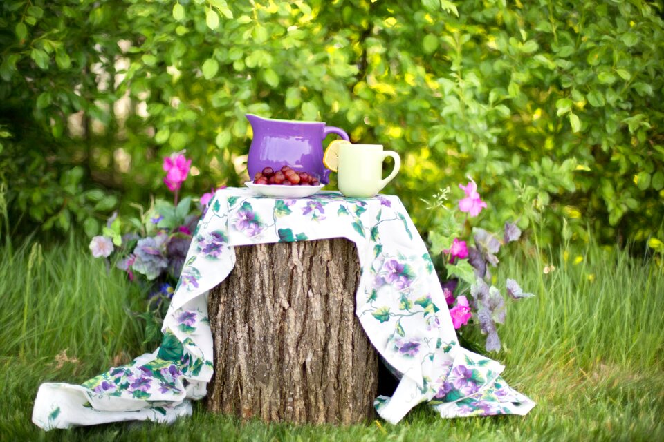 Outdoors tea party green life