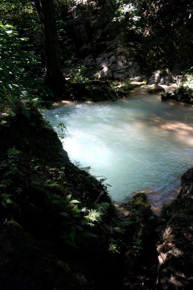 COLA DE CABALLO (3)