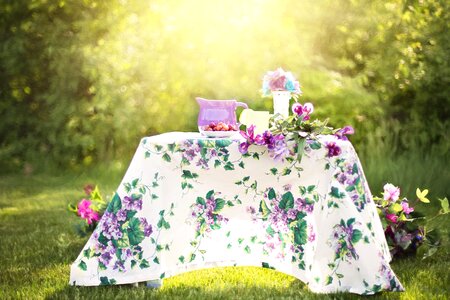 Garden outdoors tea party