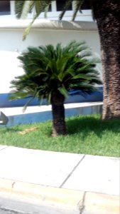 IMG 20151003 111620