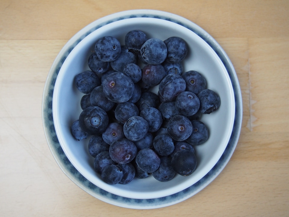 Vaccinium delicious vital substances