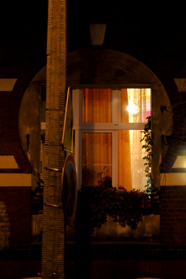 Window