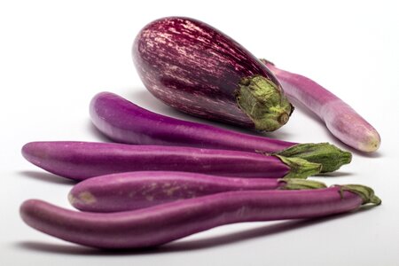 Eggplant fruit still life