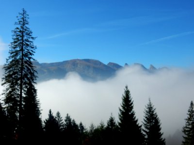 ulm svycarsko 10 2015 017