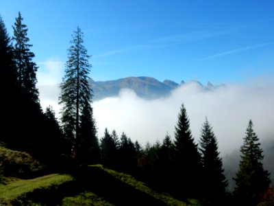 ulm svycarsko 10 2015 018