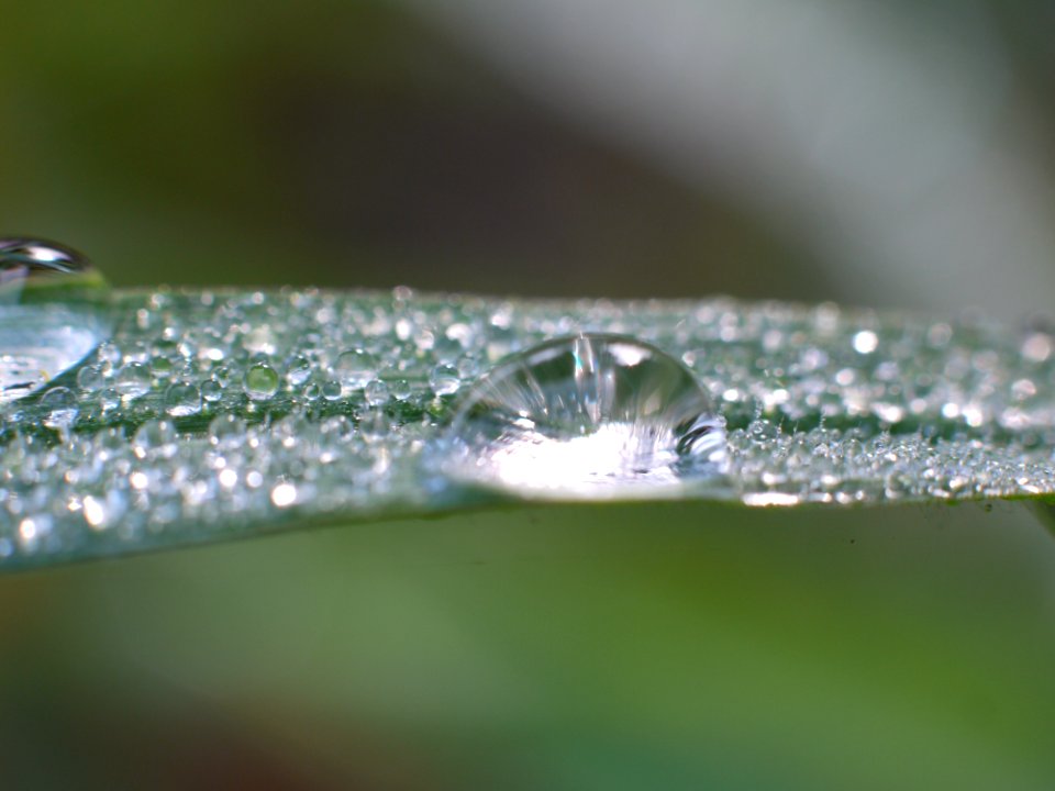 P1280022