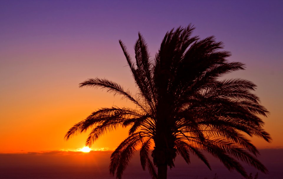Purple Sky in Fuerteventura - Sunrise