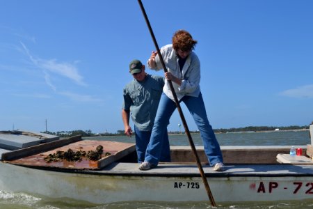 Apalachicola Oyster Workday