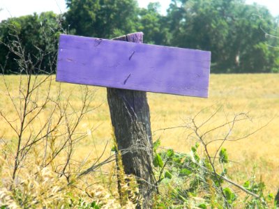 No Trespassing 1