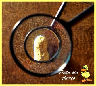 Lupa para ver un cacahuete con lupa