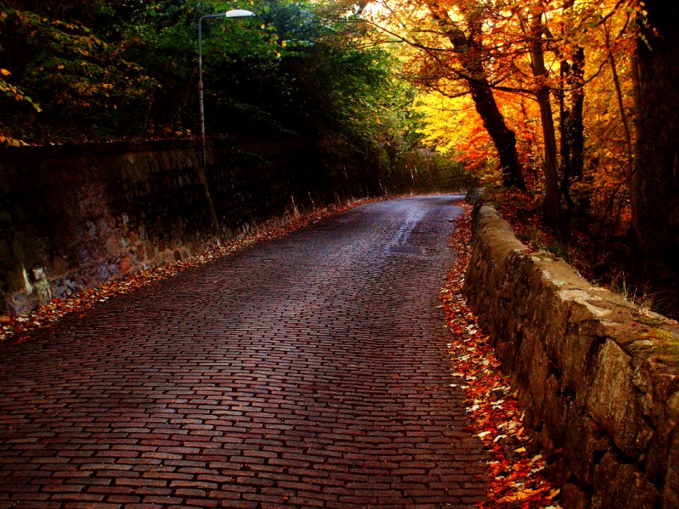 Path stone pavement