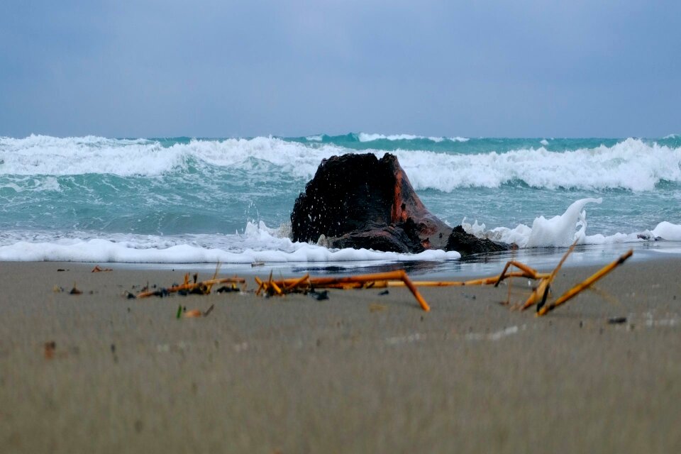 Stormy beach drift wood photo