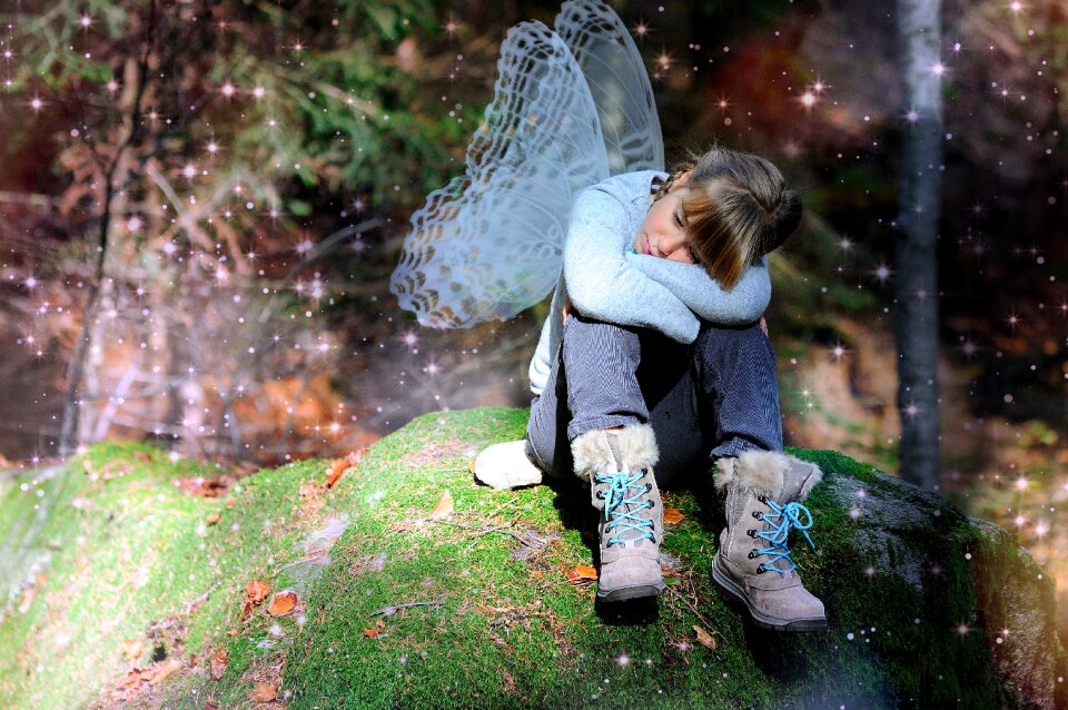 Forest fairy tales fee