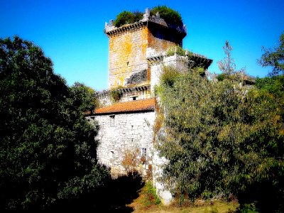 Castelo de Pambre (Palas de Rei, Lugo) photo
