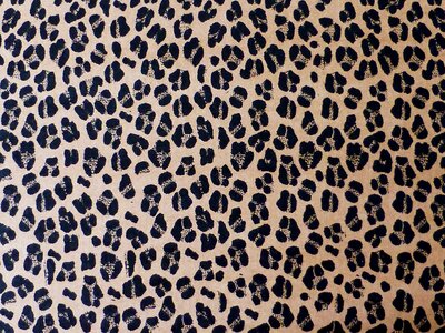 Cardboard wild animal polka dots photo