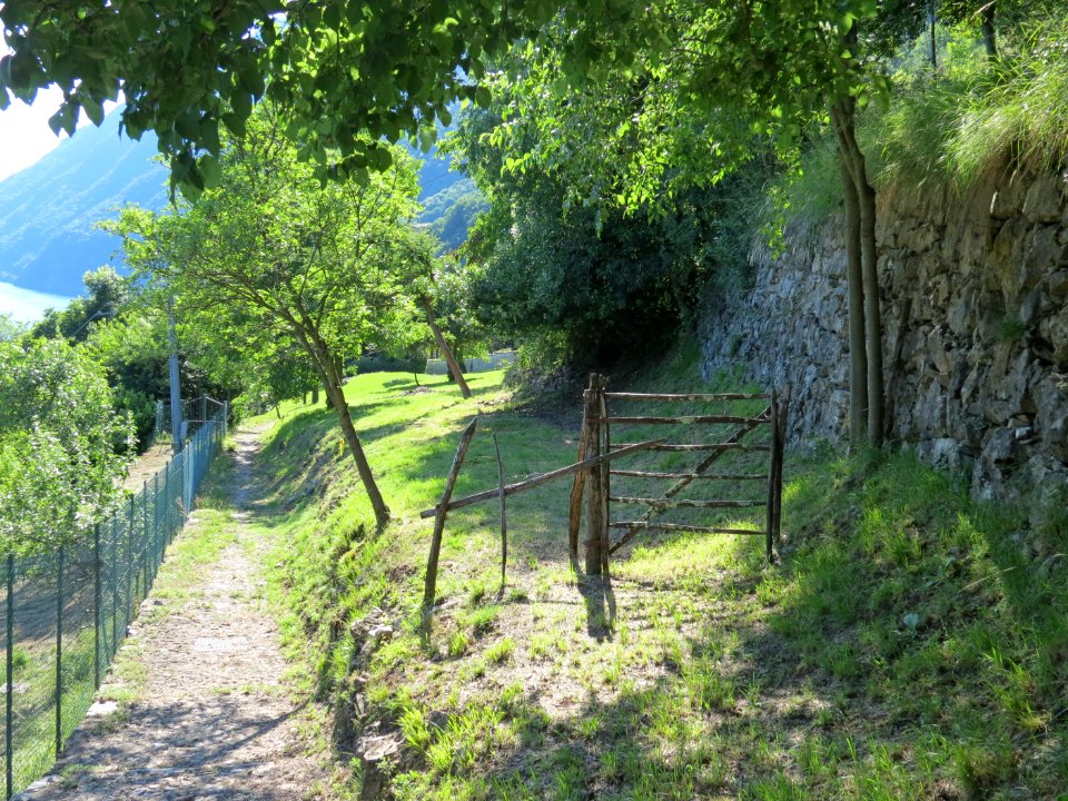 Castello Valsolda (33)