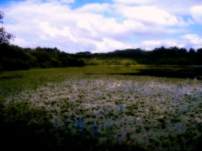 Lagoa de Sobrado dos Monxes photo