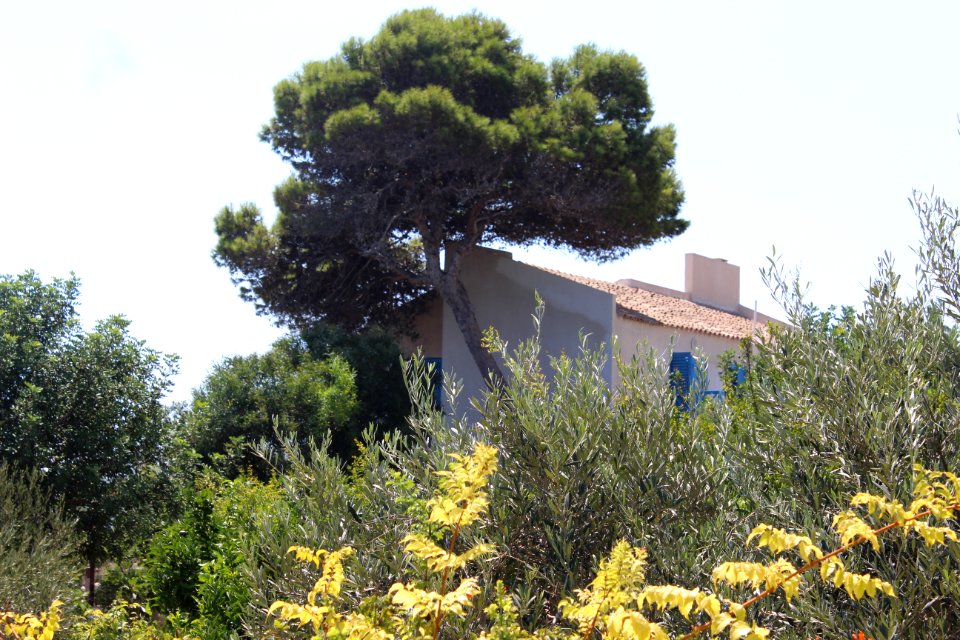 Protars Villa by the Sea