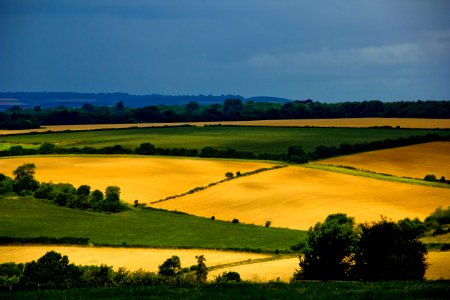 Cotswolds summer photo