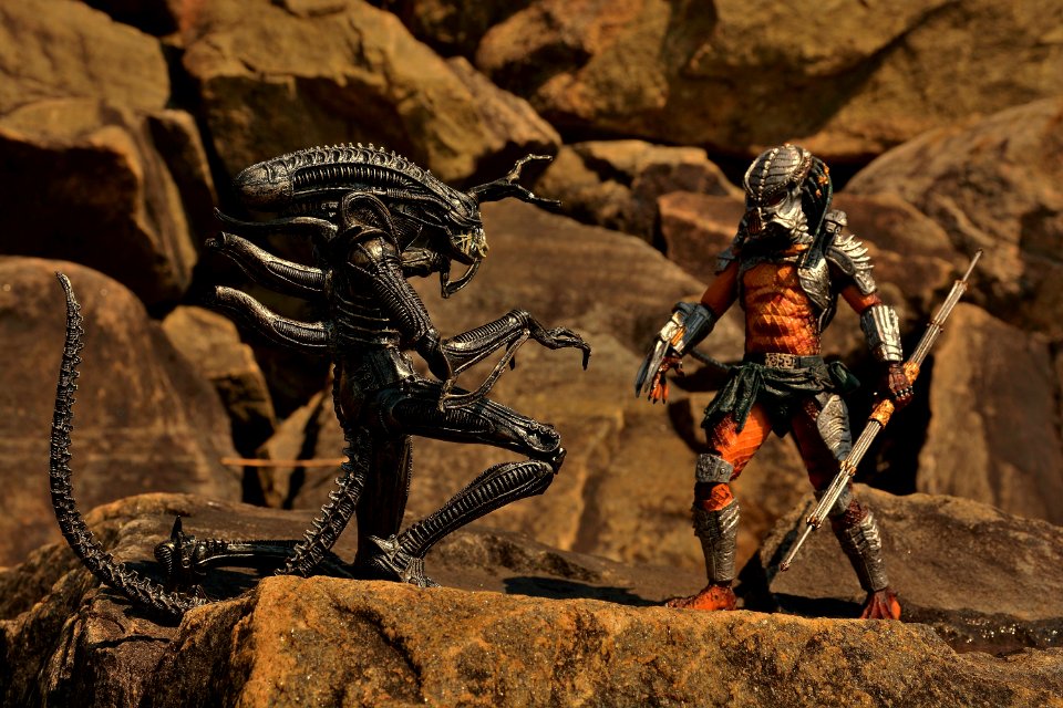 Alien vs Predator photo