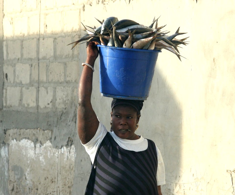 Marché de poissons au Sénégal.