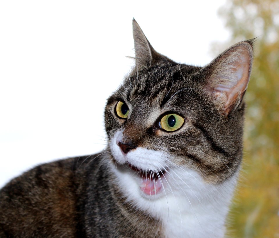 What? My Birthday! You're kidding!