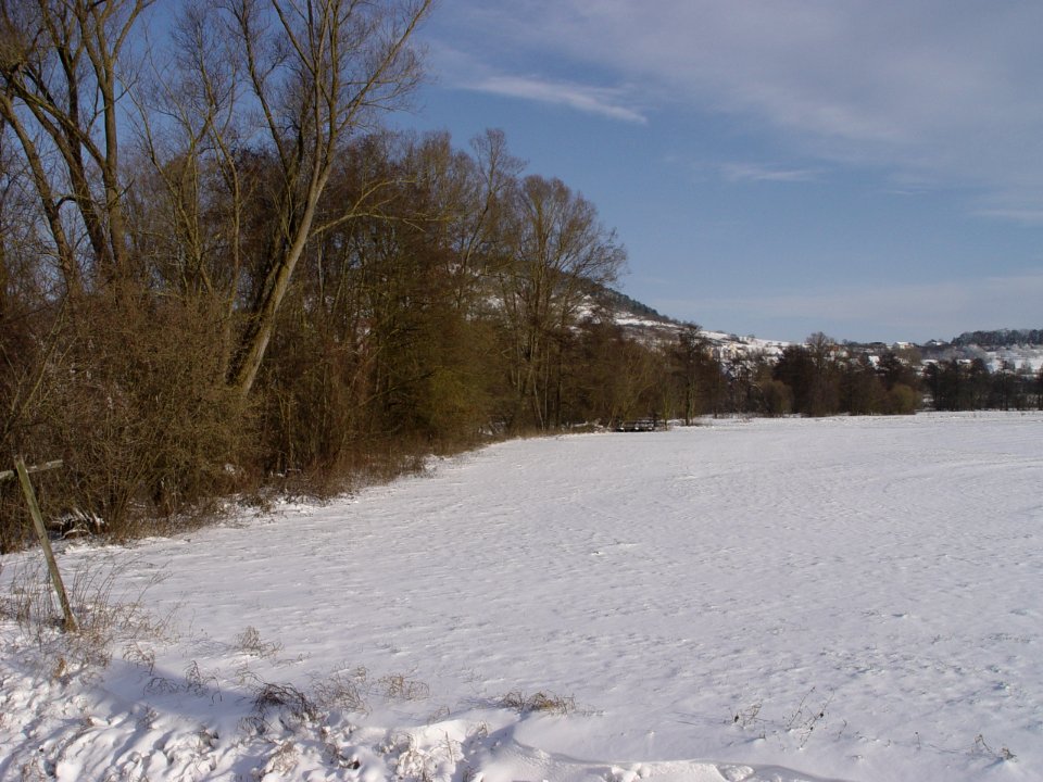 2014-12-28 11.31.01
