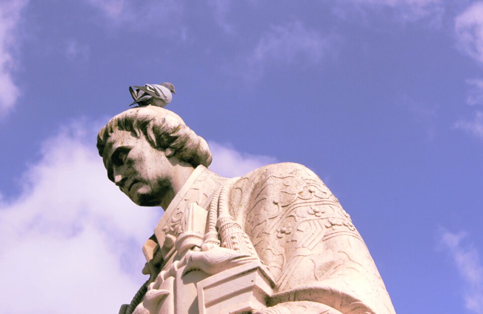 Portugal belem dove