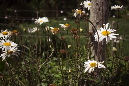 Natural outdoor naturaleza