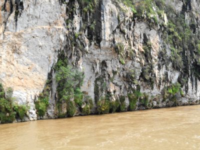 DSCN0068