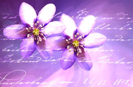 Handwriting greeting card stationery