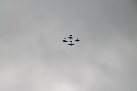 IMG 1776