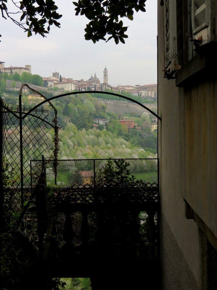 Scaletta delle more