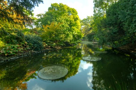 Ogród botaniczny Wrocław photo