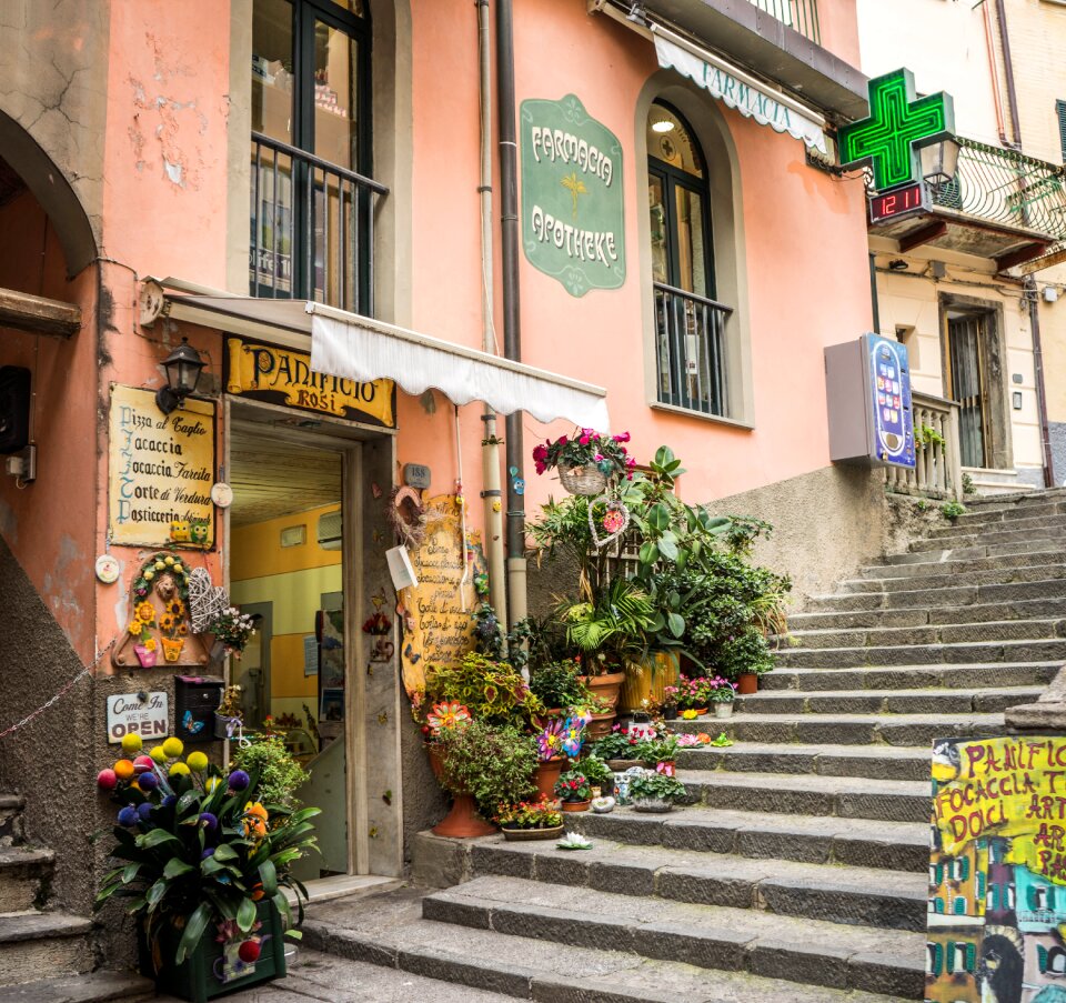 Flowers entranceway mediterranean